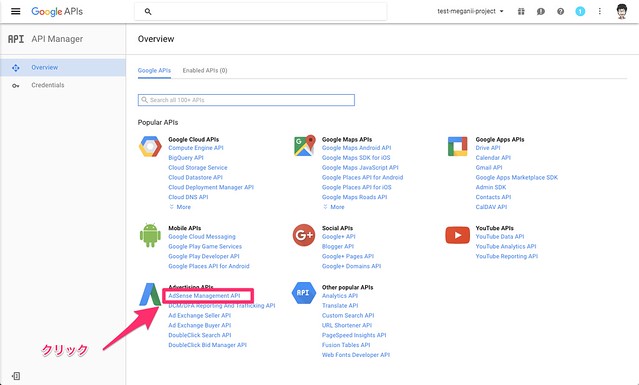 google-api-ruby-clientからGoogle Adsense Management APIを操作する方法