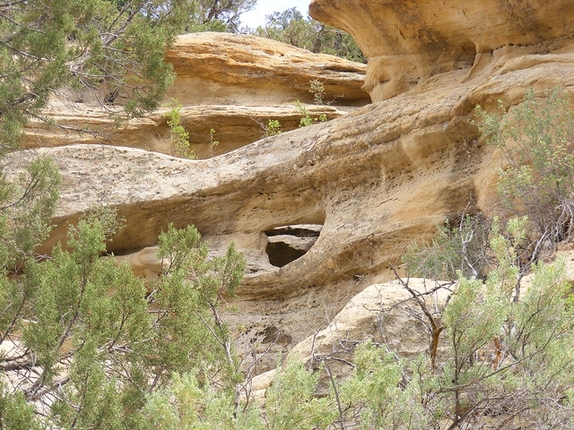 New Mexico Natural Arch NM-384