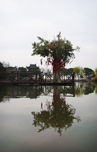china park urban lake building tree architecture buildings reflections asian temple town pond shrine asia village shanghai traditional chinese charms eastasia tongli traditionalarchitecture eastasian chinesearchitecture