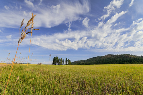 sky tree nature field grass clouds contrast rural landscape outdoors washington day unitedstates lakes resort hills logcabin twinlakes rainbowbeach northtwin southtwin inchelium colvillereservation pwpartlycloudy