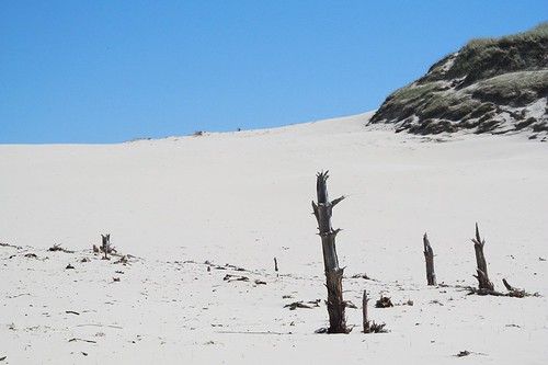nationalpark sand dunes poland unesco łeba słowińskiparknarodowy