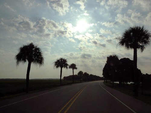 sun sc clouds sunrise southcarolina palmtree parrisisland