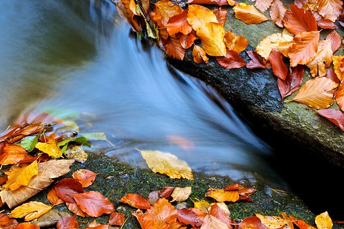 longexposure autumn fall water leaves creek river germany bavaria rocks forrest postfelden hoellbach