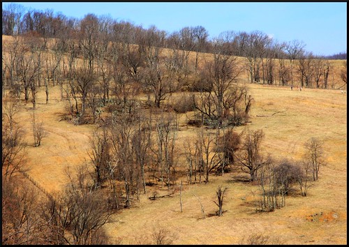 statepark park trees mountain nature grass geotagged virginia country meadow hike handheld skymeadows skymeadowsstatepark 24105mm randomnature southridgetrail canonef24105mmf4lisusm piedmontoverlooktrail piedmontoverlook virginiastatepark canon24105 geo:tool=gmif random6 geo:lat=389877226 geo:lon=77974133