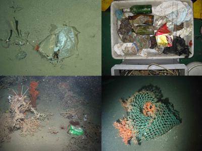 遙控攝影機在歐洲海域的海床發現垃圾，左下圖為海底惠塔德峽谷950米高處的海尼根啤酒罐。（來源：Pham CK et al. doi:10.1371/journal.pone.0095839）