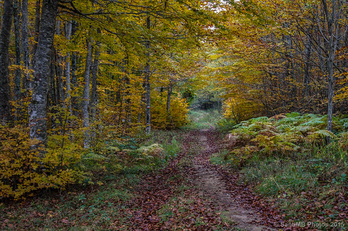 autumn españa way camino path otoño esp navarra ochagavia muskilda valledesalazar 2tumblr sal18250 2blogger