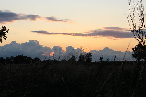 sunset tuxford