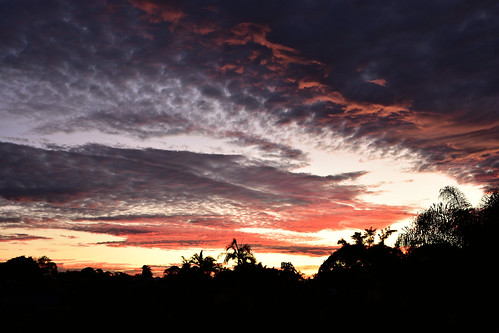 nikon d7200 dusk twilight palmtrees sunset tamron tamronsp2470mmf28divcusd redsunset bundaberg bluesky orangesunset bamboo cloud sky landscape topf25 1000v40f 1500v60f