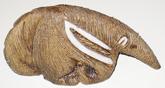 070 Anteater