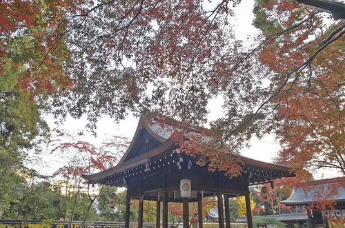 【写真】2013 紅葉 : 梨木神社/2020-09-17/IMGP4280
