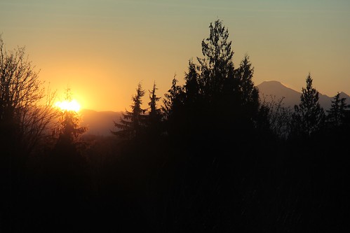 trees cold silhouette sunrise canon volcano mt baker shadows ngc mount dslr crackofdawn 60d maleridge