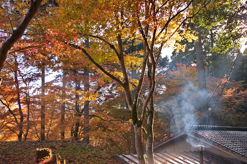 【写真】2012 紅葉 : 神護寺/2021-12-12/IMGP6019