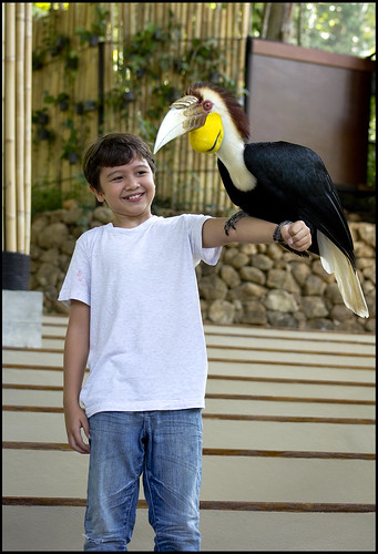 Holding a huge bird at the Phuket Birdpark