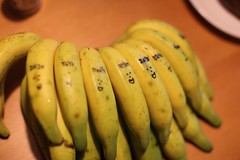 20130117-香蕉被zoyo畫畫了2-1