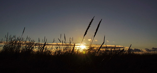 england sky sun grass clouds sunrise golden coast sony east alpha a77 saltfleet