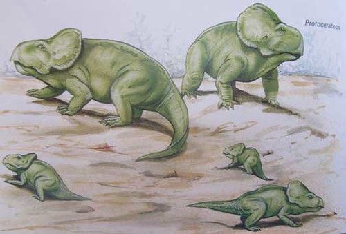 Dinosaur and Other Prehistoric Animal Fact Finder