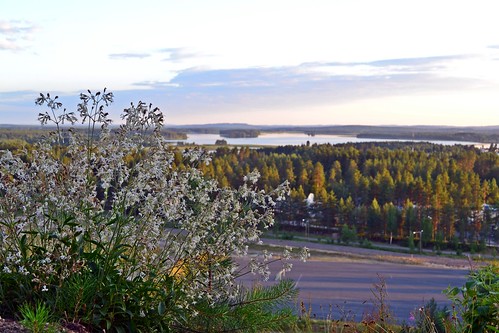 summer nature finland landscape geotagged evening scenery july ps fin lapinlahti 2011 pohjoissavo 201107 20110707 geo:lat=6335619500 geo:lon=2740826000 haminamäki rv211