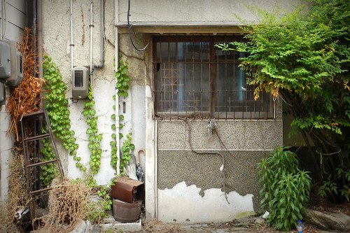 aw120 nagano iida window lattice green plant ivy