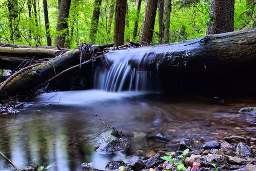 forest reading stream pa a77 tamron18200 sonyalpha noldestateforest punchesrun