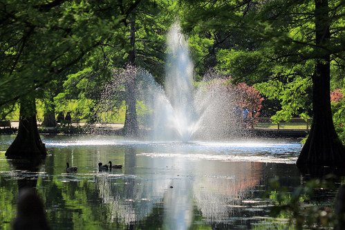 lake sc nature water fountain swan pond photographer southcarolina swanlake sumter sethberryphotography
