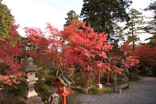 【写真】2012 紅葉 : 鍬山神社/2021-12-10/IMGP5856