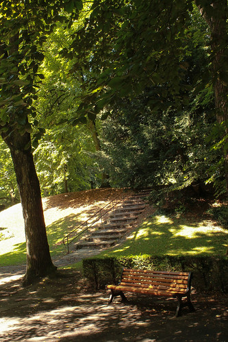 voyage park trees france tree nature forest garden bench landscape north jardin arbres foret arbre parc banc nord valenciennes