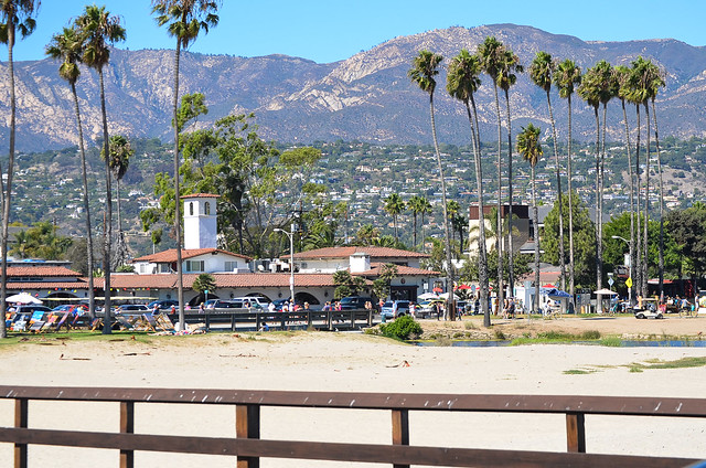 A group of palm trees and a fence with Santa Anita Park in the background
