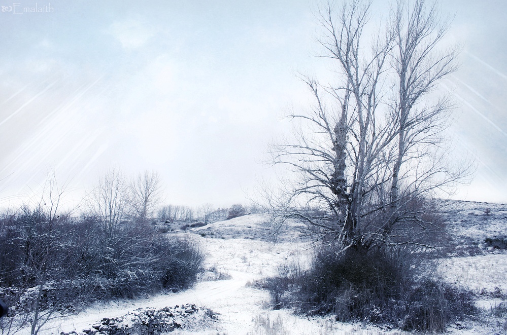12. Camino en invierno. Autor, Lola Hierro
