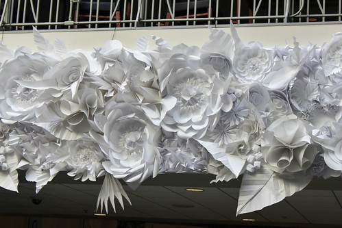 paper-flowers-malinda-swain