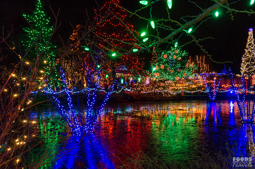 Christmas Lights @ VanDusen Garden
