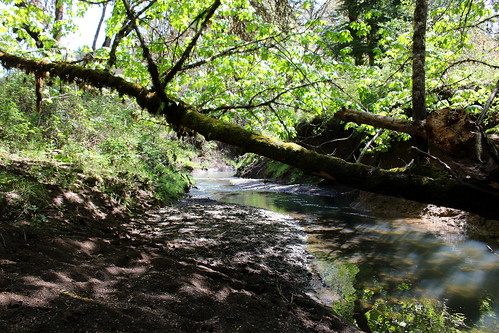 park county oregon oakland memorial hiking douglas mildred kanipe wsweekly81