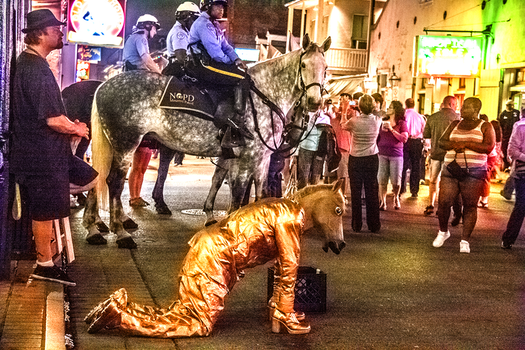 Horses-on--Bourbon--New-Orleans