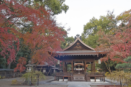 【写真】2013 紅葉 : 梨木神社/2020-09-17/IMGP4278