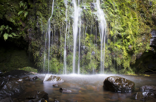 park newzealand water river waterfall moss harbour diamond bradley lichen orton canterburynz grantbeedie