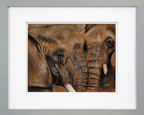 Pastel Elephant Drawing for Amy by Joseph W. Nienstedt