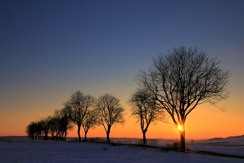 trees winter sunset germany deutschland alley sonnenuntergang hessen bäume allee hesse blauestunde nordhessen ersen northhesse niederlistingen