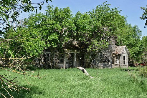 usa tree abandoned grass farmhouse yard nikon nebraska homestead tall thicket d7100
