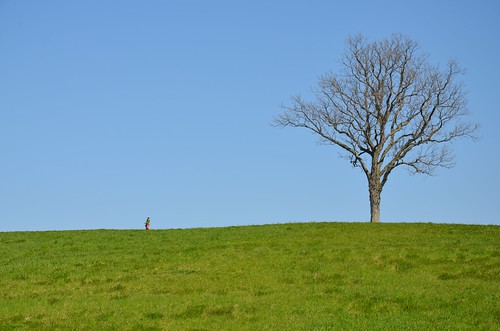 tree stormking lonely myfave faved 2013 april2013 heylookatthis