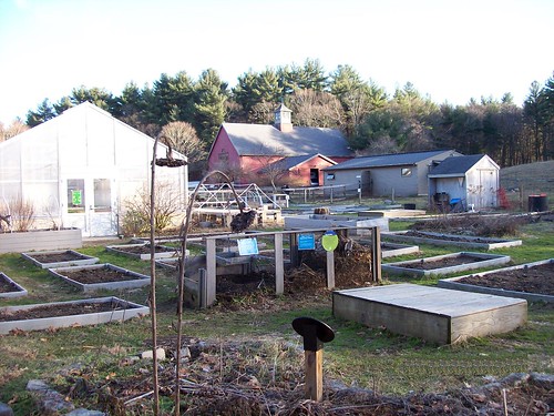 garden beds and barn