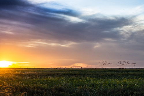 light sunset sun luz sol argentina atardecer photo nikon day dia mayo pampa horizonte llanura planicie 2013 monicaetcheverry