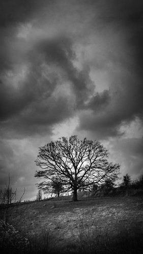 bw panorama white black noir nb et arbre blanc dimanche balade 2014 oise dominicale sérifontaine