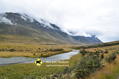 J4 Mavora track Nouvelle-Zélande