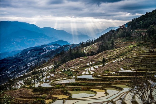 china travel light sunset color colour field landscape nikon exterior view rice cloudy terrace chinese land 中国 yunnan interest hdr chine yuanyang 云南 元阳 d600 coloris qiconglin