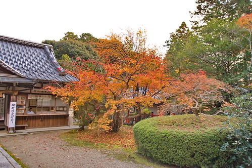 【写真】2012 紅葉 : 大原野神社/2021-08-20/IMGP6622
