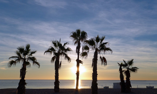 morning sea sky españa sun mañana beach valencia silhouette sunrise contraluz mar spain playa palm alicante amanecer cielo silueta palmera lx7 playadesanjuan lumixlx7 panasoniclumixlx7