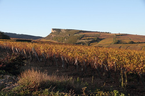 autumn automne burgundy bourgogne vignoble vigne vinyard solutré vergisson mâconnais