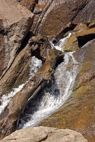 california tree nature waterfall nationalpark stream wilderness kingscanyonnationalpark