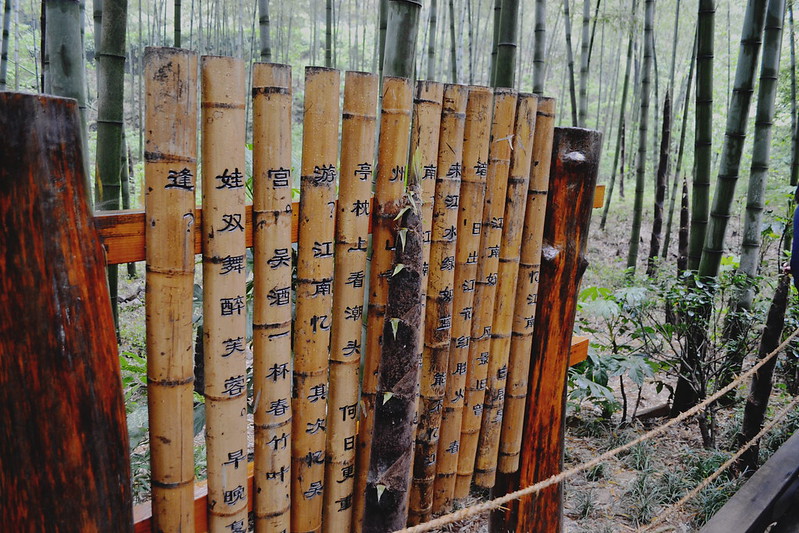 Nanshan Bamboo Forest