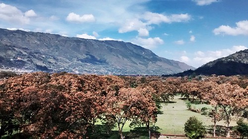 landscape enkadecolombia