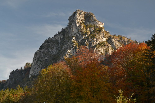 autumn trees oktober salzburg rock austria october herbst limestone fels kalkstein österreich flachgau nockstein bäume guggenthal föhn nikond3100